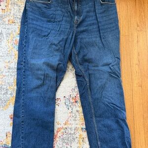 Abercrombie & Fitch Curve Love Blue Jeans